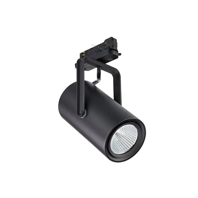Focos de carril Philips