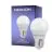 Noxion Lucent Classic LED E27 Esférica Mate 4.5W 470lm - 827 Luz Muy Cálida | Reemplazo 40W
