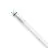 Philips Master Tubo LED T8 (EM/Mains) High Output T8 16.7W 3100lm - 840 Blanco Frio | 150cm - Reemplazo 58W