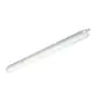 Philips Pantalla LED Estanca CoreLine WT120C G2 30W 4000lm - 840 Blanco Frio | 120cm - 3x Cableado De Paso 