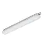 Philips Pantalla LED Estanca CoreLine WT120C 29W 4000lm - 840 Blanco Frio | 120cm - 1x Cableado De Paso 
