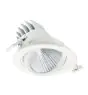 Philips Foco LED LuxSpace Accent Performance RS781B 31.5W 3900lm 36D - 830 Luz Cálida | 170mm 