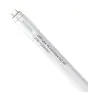 Noxion Tubo LED T8 Avant Extreme (HF) High Output 20W 3100lm - 865 Luz de Día | 150cm - Reemplazo 58W