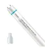Philips Tubo LED T8 MASTER Value (EM/Mains) High Output 8W 1050lm - 840 Blanco Frio | 60cm - Reemplazo 18W