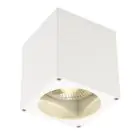 SLV Big Theo Techo Foco Aluminium Blanco | Al Aire Libre - IP44 - Apta para 1x GU10 Max. 75W - Regulable