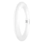 Osram Tubo LED T9 Circular (EM/Mains) 11W 1320lm - 840 Blanco Frio | Reemplazo 22W
