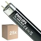 Multipack 25x Philips MASTER TL-D 36W - Blacklight Azul | 120cm