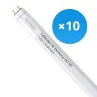 Multipack 10x Noxion Tubo LED T8 Avant Extreme (HF) High Output 14W 2100lm - 865 Luz de Día | 120cm - Reemplazo 36W