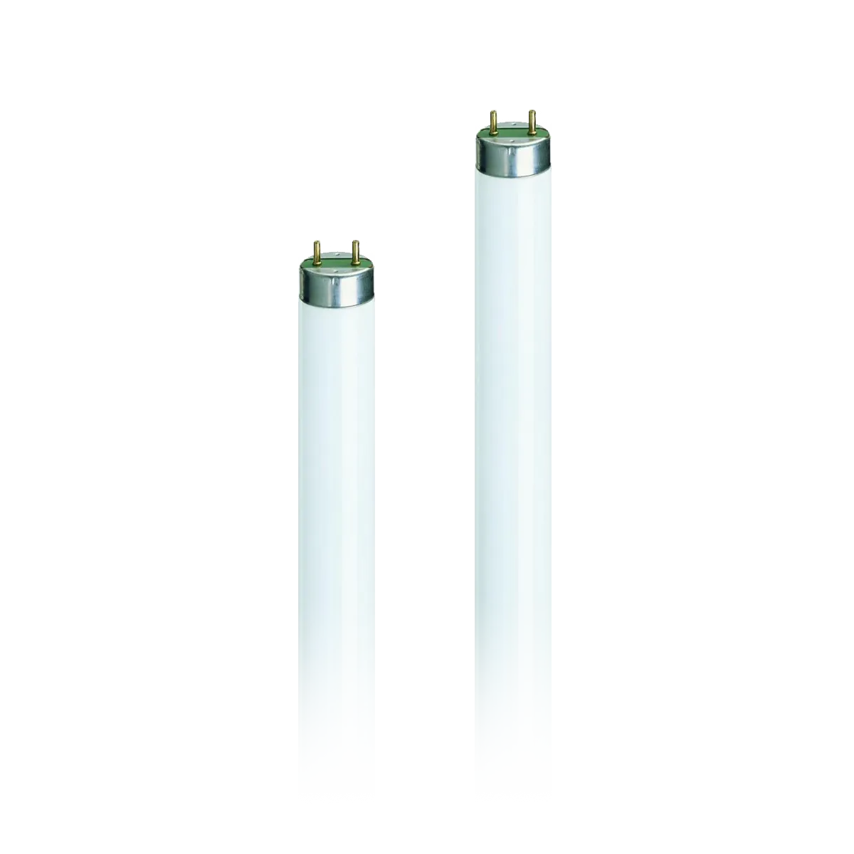 Tubos neon Philips