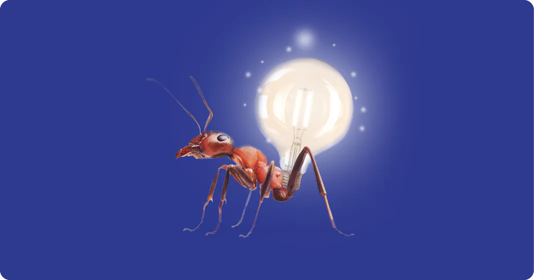 pasa a la iluminación noxion